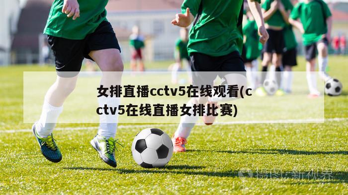 女排直播cctv5在线观看(cctv5在线直播女排比赛)