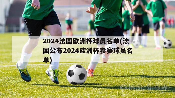 2024法国欧洲杯球员名单(法国公布2024欧洲杯参赛球员名单)