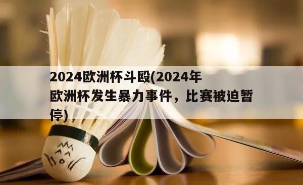 2024欧洲杯斗殴(2024年欧洲杯发生暴力事件，比赛被迫暂停)